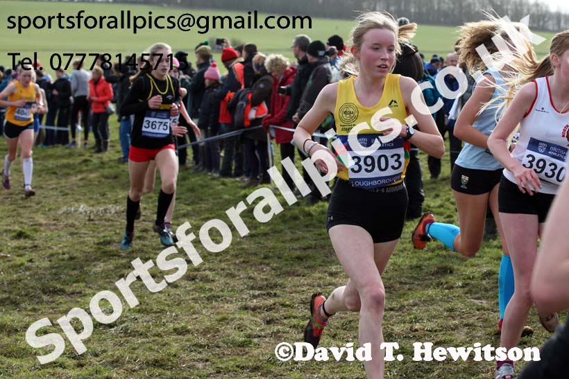 Girls under-15s 2019 British Athletics Inter Counties Cross Country, Prestwood Hall, Loughborough. Photo:  David T. Hewitson/Sports for All Pics